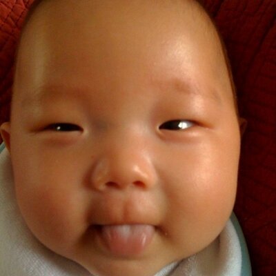 Profile Picture of Gavin Kim (@nysteve_kim) on Twitter