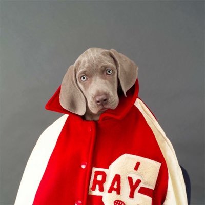 Profile Picture of Tom Reimer (@Sluggo24) on Twitter