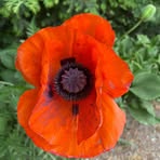 Profile Picture of Barbara Łazar (@Barbara-Łazar) on Facebook