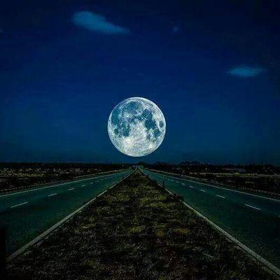 Profile Picture of Nelson Paz (@nelsonpaz715) on Twitter