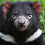 Profile Picture of Tom Kruse (@lefreakartsalon) on Instagram