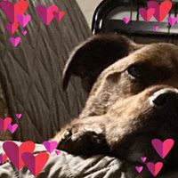 Profile Picture of Shawna Herrera (@shawna-herrera-3) on Quora