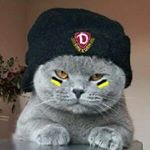 Profile Picture of Peter Rothe (@peter.rothe.338) on Instagram