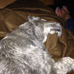 Profile Picture of Caleb (@caleb_pitman) on Instagram