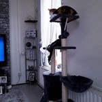 Profile Picture of Jamie Kirkham (@jamie.kirkham.585) on Instagram
