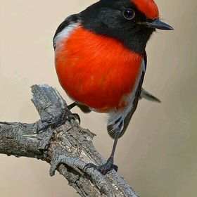 Profile Picture of Yolanda Méndez Noriega (@YolaSI) on Pinterest