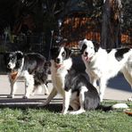 Profile Picture of Paula Jones Darner (@paula.darner) on Facebook