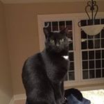 Profile Picture of Larry Oscherwitz (@oscherwitz) on Instagram