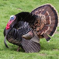 Profile Picture of James Mcgillicuddy (@james-mcgillicuddy-11) on Quora