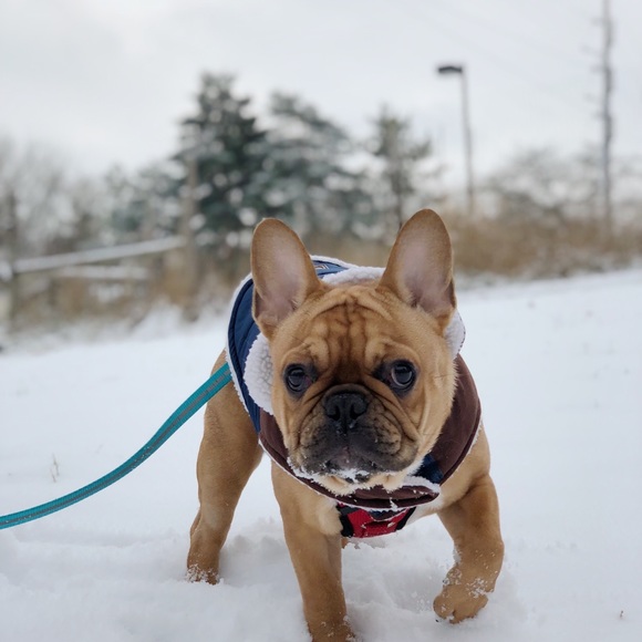 Profile Picture of Chris Matthew (@vintagery) on Poshmark