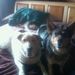 Profile Picture of Scott Cordova (@scottcordova) on Pinterest