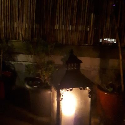 Profile Picture of Catherine Coffey (@Catheri32011586) on Twitter