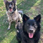 Profile Picture of Dennis Hughes (@dennis.hughes.7) on Instagram