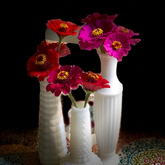 Profile Picture of Carol Osner (@tobysgal) on Poshmark