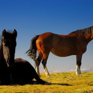 Profile Picture of Nora Collado (@215971637) on Myspace