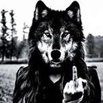 Profile Picture of Pamela Locke (@souspamelalocke) on Instagram
