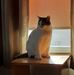 Profile Picture of Janet Gorski (@janet.gorski.35) on Facebook