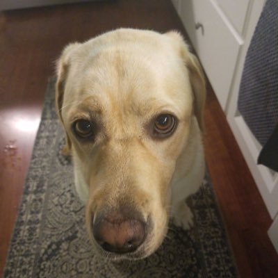 Profile Picture of Jeremy Thiele (@jeremy_thiele) on Twitter