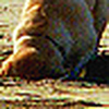 Profile Picture of Kristi Duncan (@kristi d2009) on Flickr