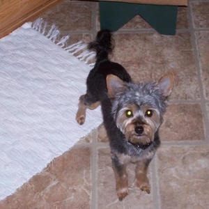 Profile Picture of Scott Azevedo (@scazevedo) on Myspace