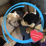 Profile Picture of Lisa Eddins (@lisa.eddins.965) on Instagram