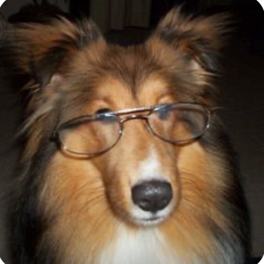 Profile Picture of Matthew Rotolo (@mtthewrtolo) on Tiktok