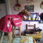 braian trisca - Instagram Profile Picture of braian trisca (@braian.trisca) on Instagram