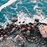 Profile Picture of Paula (@lonely.bingos) on Instagram