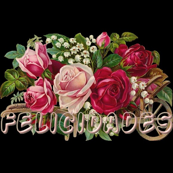 Profile Picture of Todd Carlota (@licatodd) on Poshmark