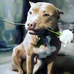 Profile Picture of devon olson (@gamerboy_mvg_yt) on Instagram