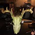 Profile Picture of Lisa Taylor (@miss.piggietaylor) on Instagram