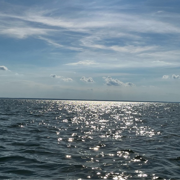 Amy Wilkinson - Poshmark Profile Picture of Amy Wilkinson (@apwilkinson) on Poshmark