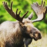 Profile Picture of Isaiah Ives (@isaiahives) on Instagram