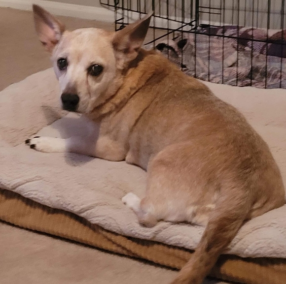 Profile Picture of Michele Scordato (@mms1616) on Poshmark