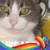 Profile Picture of Jeff Easterly (@@2183814902) on Tiktok