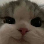 Profile Picture of Florence (@happyyycolgate) on Instagram