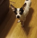 Profile Picture of Jeffrey Marshall (@jeffrey.marshall.329548) on Facebook