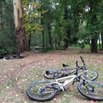 Profile Picture of Peter Wallis (@peter.wallis.370) on Instagram