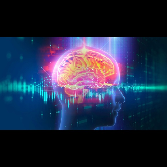 Profile Picture of Shawn Shiek (@shawnshiek) on Poshmark