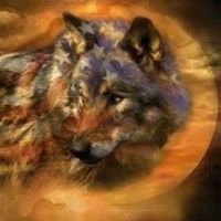 Profile Picture of Tony Dibartolo (@tony-dibartolo-1) on Quora