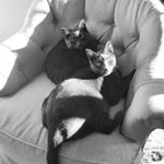 Profile Picture of LEA (@lynn.elliottahmad66) on Instagram