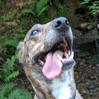 Profile Picture of Kyle Chaplin (@KyleChaplin2) on Twitter