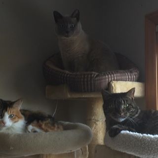 Profile Picture of Edward Hammond (@Edward-Hammond) on Facebook