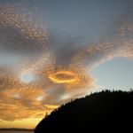 Profile Picture of Catherine Ryan (@catherinedove46) on Instagram