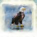Profile Picture of David Rayfield (@david.rayfield.754) on Facebook