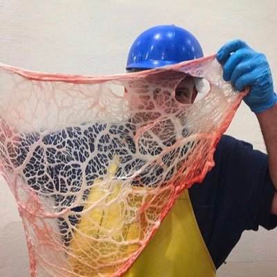 Profile Picture of Michael Lapi (@LapiMlap) on Twitter