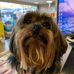 Profile Picture of Helen Cameron (@helen.cameron.5059601) on Facebook