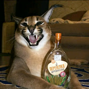 Profile Picture of Luis Aranibar (@luisaranibar9718) on Youtube