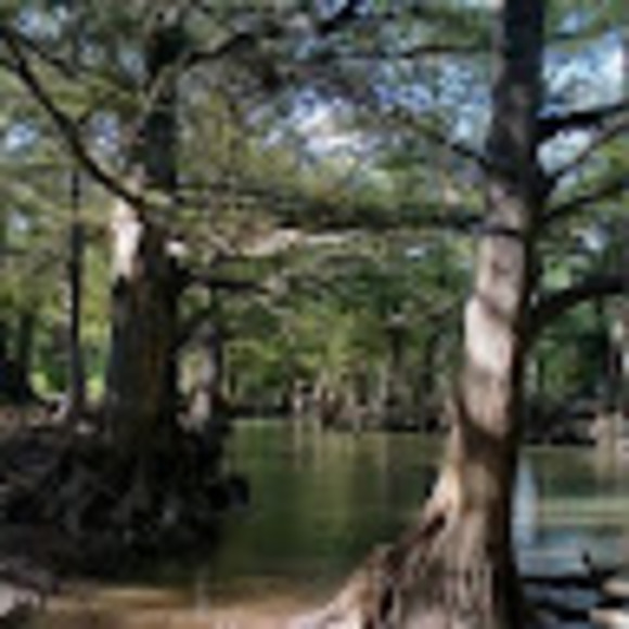 Profile Picture of Jonathan Ledesma (@johntang63) on Poshmark