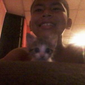 Profile Picture of Steven Camacho (@stevencamacho21) on Twitter